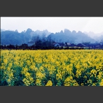 武陵源百丈峡口2007年的村庄