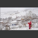 雪村之恋