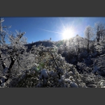 仙山.阳光.雪