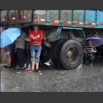 在风雨中