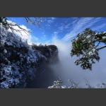 初雪