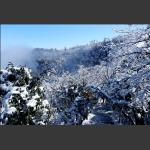 仙山雪海