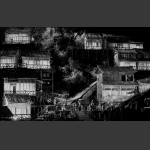 狐仙聚居夜景