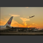 机场晨曲