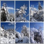雪