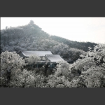 林中小屋