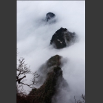 云雾山中