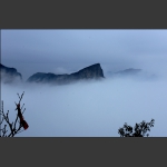 偶露峥嵘