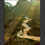 路漫漫
