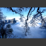 瑞雪