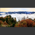 雾漫天子山