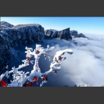 瑞雪祈福