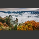 天子山秋韵