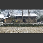 乡村老屋