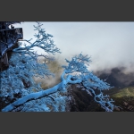 《山上山下两世界》