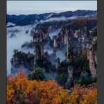 天子山上又一秋