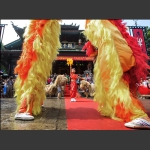 欢度六月六