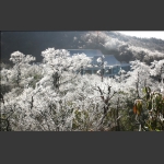 雪中人家