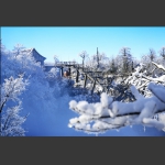 雪上枝头