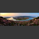 美丽家园
