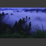 天子山·云海峰林