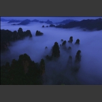 天子山·云海峰林二