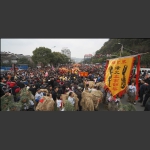 马路上的狂欢