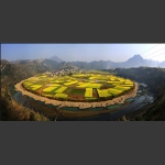 《金色家园》