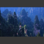 天子山·冬日绿色