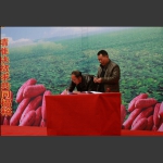 组照3