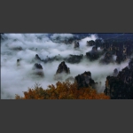 万马归巢