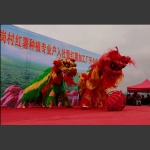 组照5