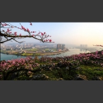 春到庸城