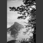 清风云翼