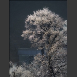天门山雪景