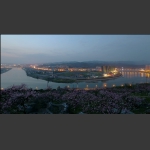 新城夜景