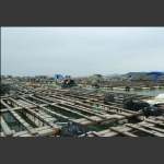 鲍鱼养殖基地