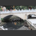 城市清道夫