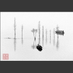 澧水情结