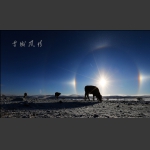 雪域风情----坝上