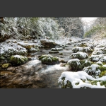 雪域金鞭溪