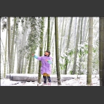 雪之精灵