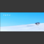 雪域风情----坝上