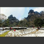 待到雪化时（二）