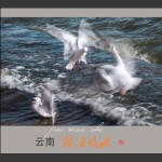 踏浪嬉水