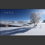 雪域风情----坝上