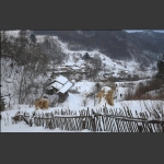雪村松岭