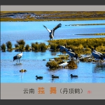 独舞