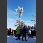 雪中一景