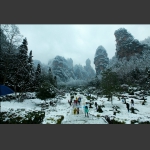 猴年瑞雪张家界